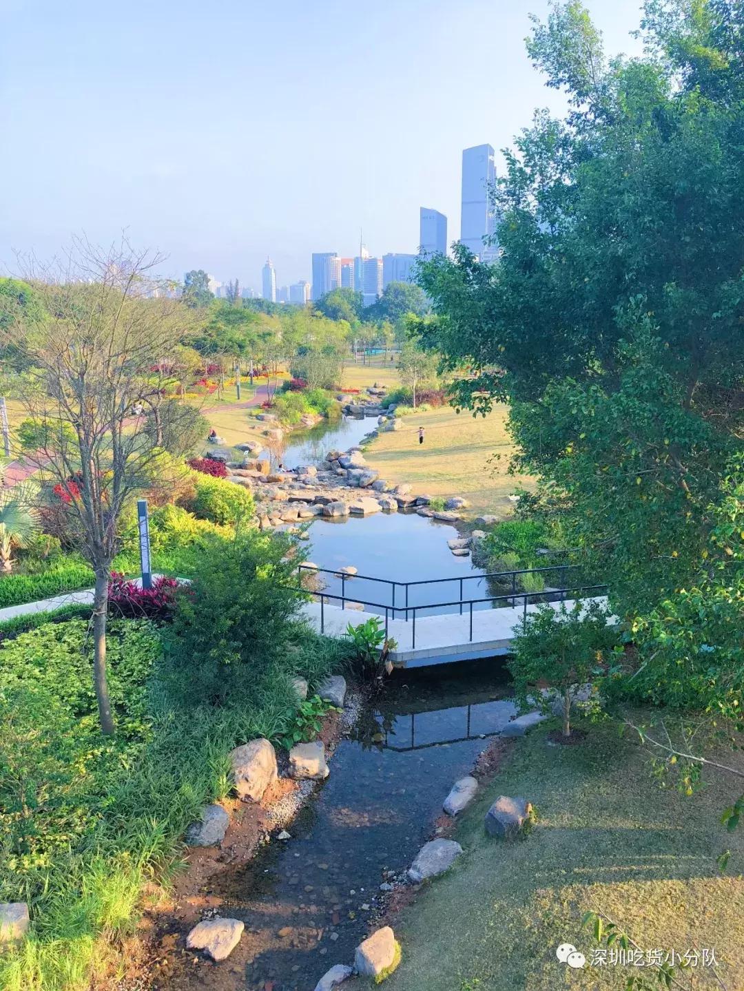 深圳福田结婚登记处环境,深圳最美结婚登记处