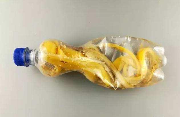 水果肥料养花,用水果皮发酵的花肥可以浇什么花