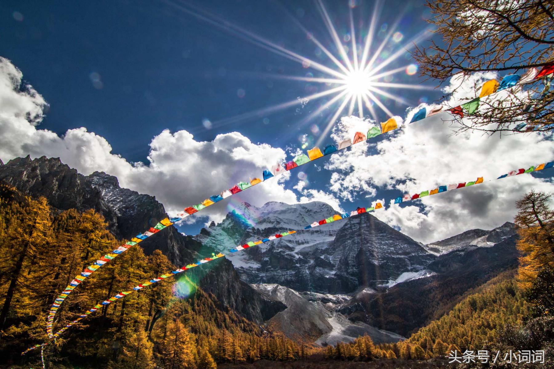 明星的婚礼都在哪里举行,明星中最浪漫的婚礼