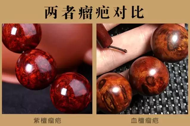 赞比亚血檀和印度小叶紫檀纹理,血檀和小叶紫檀手串对比图