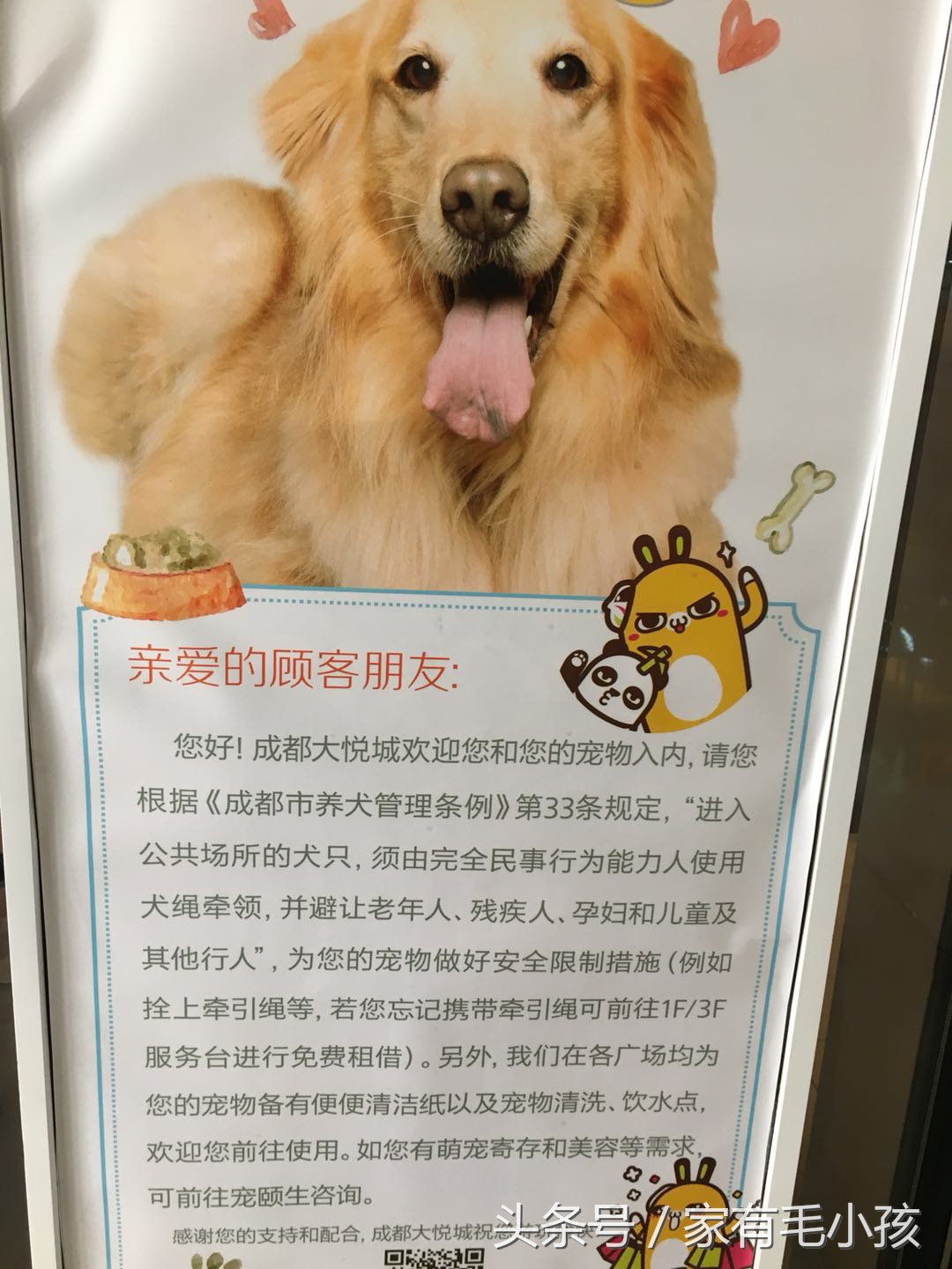 各种狗狗的种类及名字,英语狗的品种都有哪些