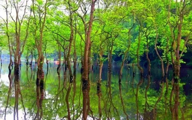 南昌附近小众露营看日出日落,南昌到广州自驾游有哪些景点好玩