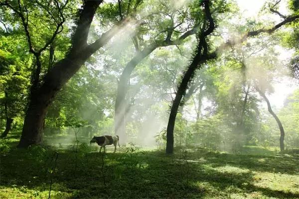 南昌附近小众露营看日出日落,南昌到广州自驾游有哪些景点好玩