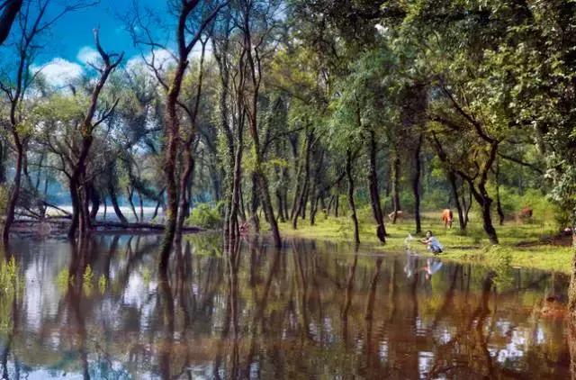 南昌附近小众露营看日出日落,南昌到广州自驾游有哪些景点好玩