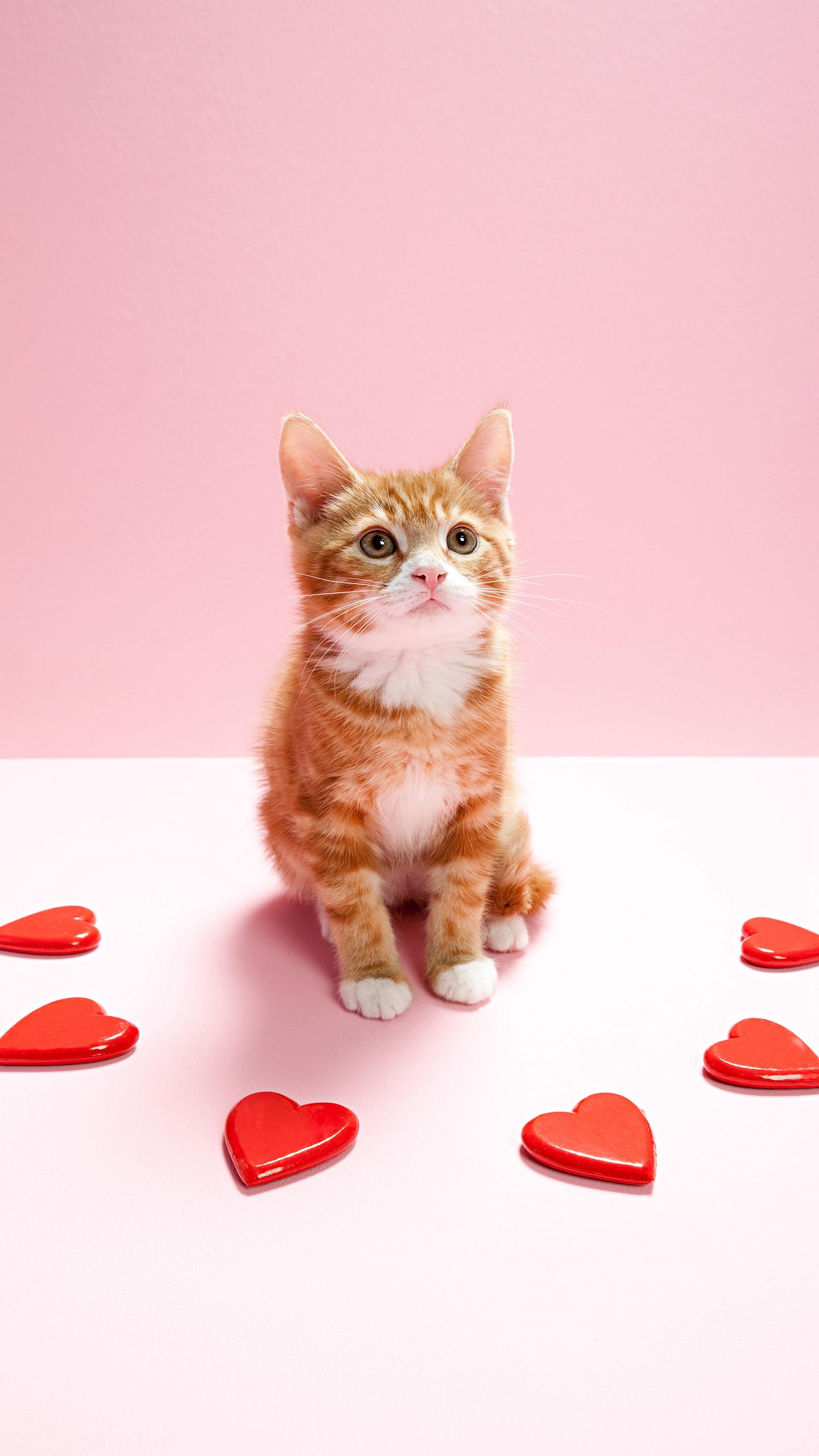 初中英语动词搭配全套,初中英语固定动词搭配与用法大全