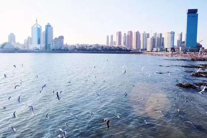 武汉到深圳的特价机票12月份,六月武汉出发最便宜的飞机票