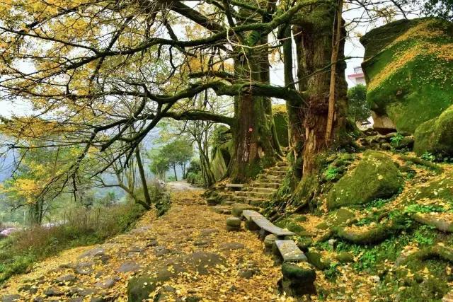 南昌附近小众露营看日出日落,南昌到广州自驾游有哪些景点好玩