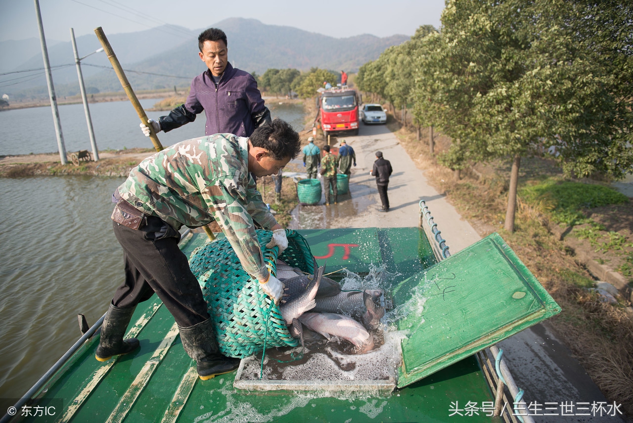 孕期可以吃的海鲜有哪些,孕期血糖高可以吃海鲜吗