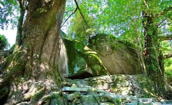 南昌附近小众露营看日出日落,南昌到广州自驾游有哪些景点好玩