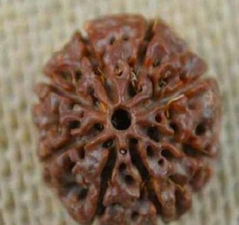 玩金刚必须知道什么,玩金刚应该注意的几个问题