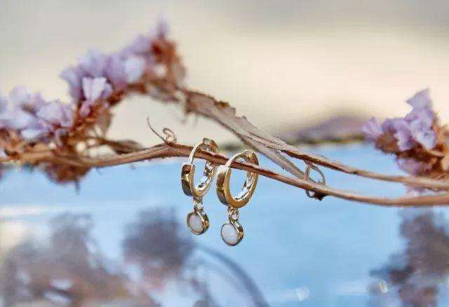 欢迎吸血鬼夫妇加入，黄金回收计划启动