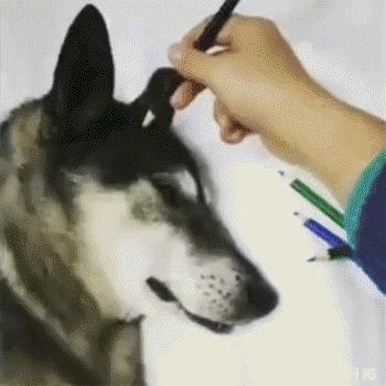 求生的意志力,冰淇淋求生秘籍