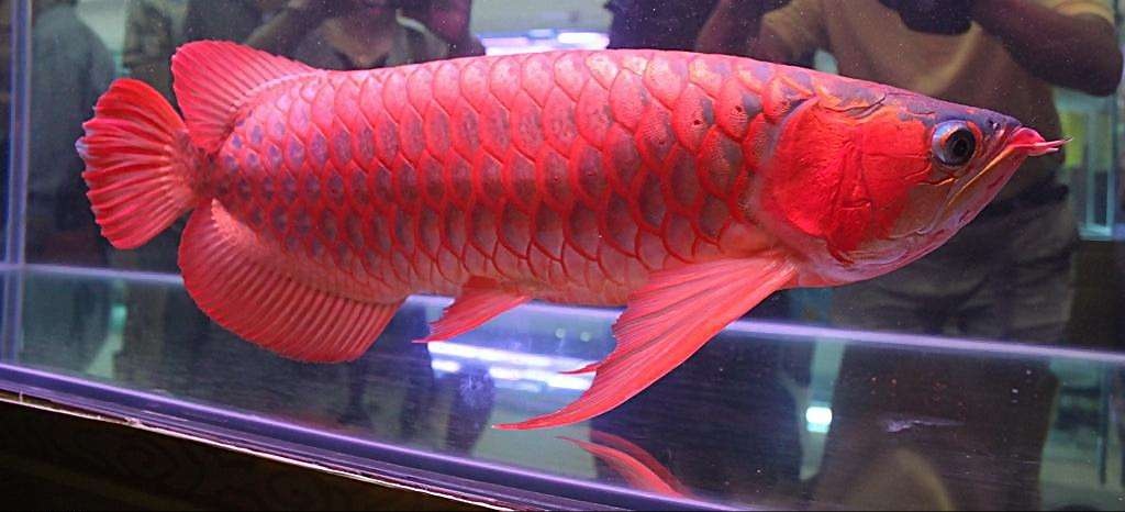 微信头像图片大全2021最火头像男,微信头像2021年好运山水微信头像