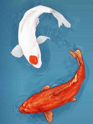 微信头像图片大全2021最火头像男,微信头像2021年好运山水微信头像