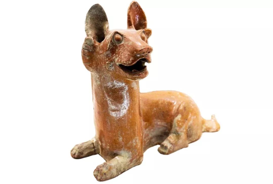 瑞狗迎春金狗纳福,瑞犬纳福2018年