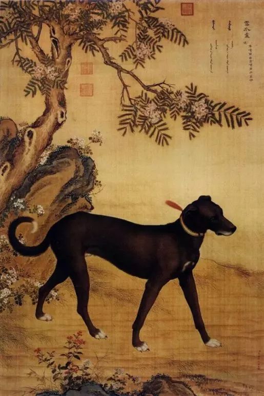 瑞狗迎春金狗纳福,瑞犬纳福2018年