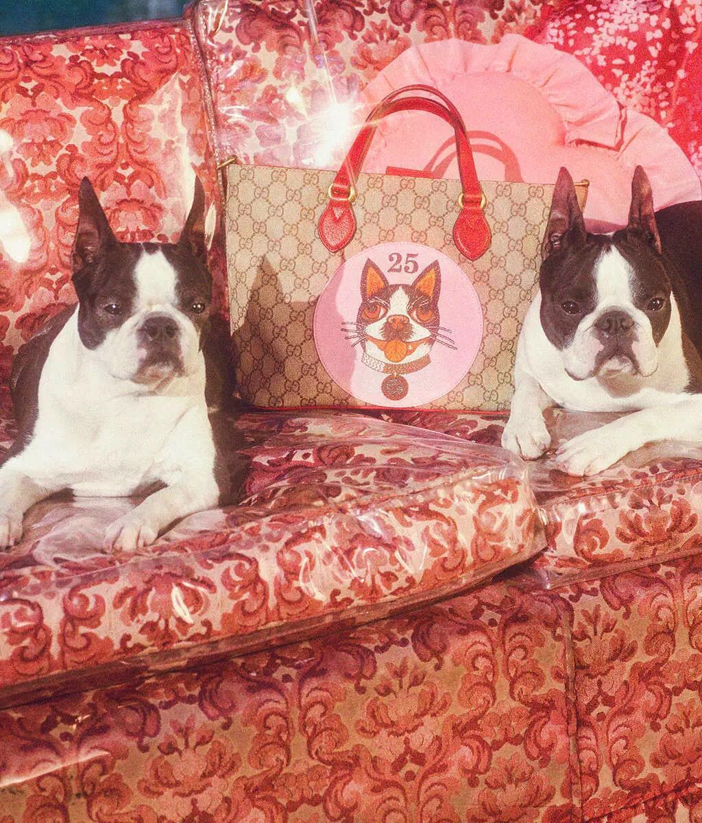 gucci鼠年衣服,gucci狗头牛仔衫