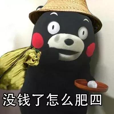 宠物猫自动喂食器推荐,宠物猫智能喂食器和智能喂水器