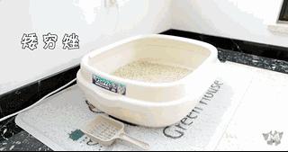 宠物猫自动喂食器推荐,宠物猫智能喂食器和智能喂水器