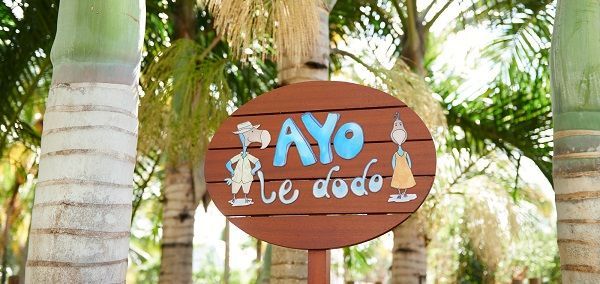 AyoLeDodo：真正属于孩子们的海岛假日