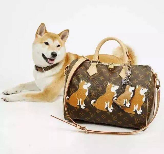 gucci鼠年衣服,gucci狗头牛仔衫