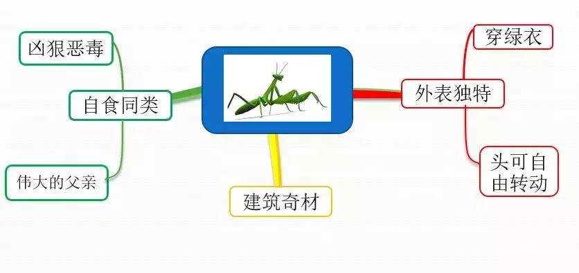 如何让孩子学会阅读提升自己,10节课让孩子学会高效阅读