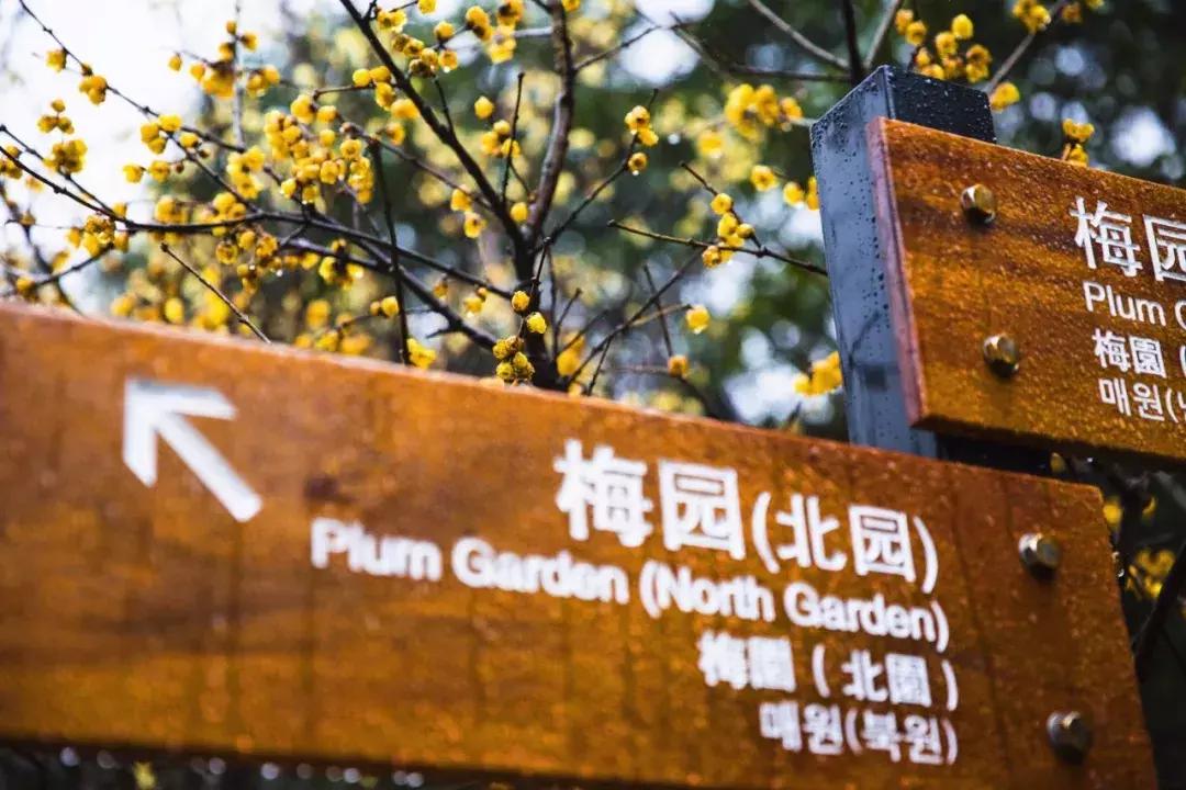 这座浙东港城坐拥最迷人的港湾，早春梅香扑鼻而至，自驾2.5h即达！