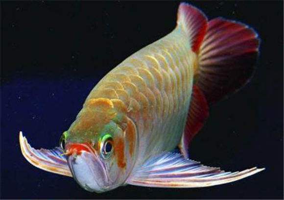 微信头像图片大全2021最火头像男,微信头像2021年好运山水微信头像