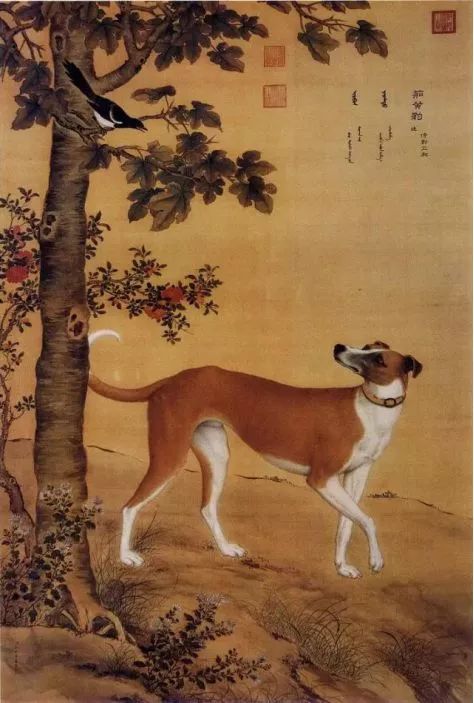 瑞狗迎春金狗纳福,瑞犬纳福2018年