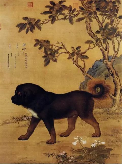瑞狗迎春金狗纳福,瑞犬纳福2018年