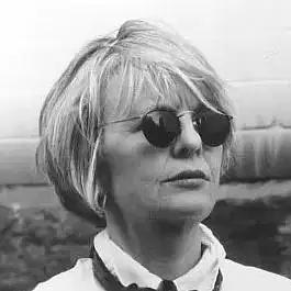 如何评价伍迪艾伦的电影,艾伦伍迪电影