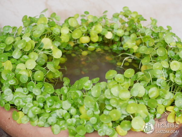 鏉句笅gx85寰崟鐩告満璇勬祴,鏉句笅gx85鍚岀骇鍒殑寰崟