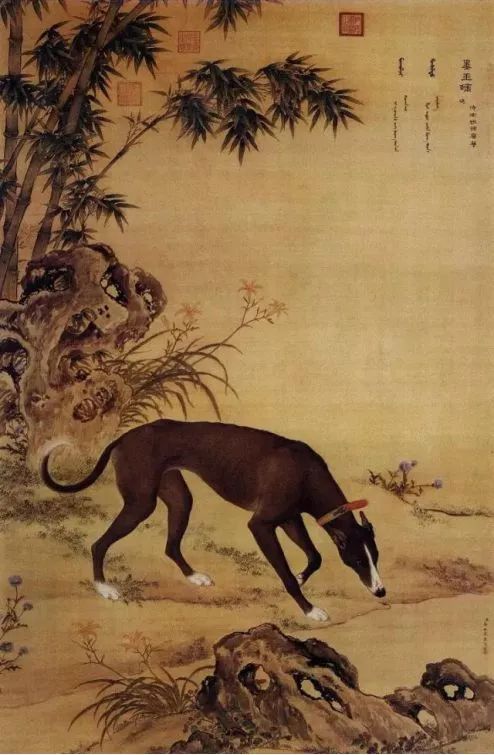 瑞狗迎春金狗纳福,瑞犬纳福2018年