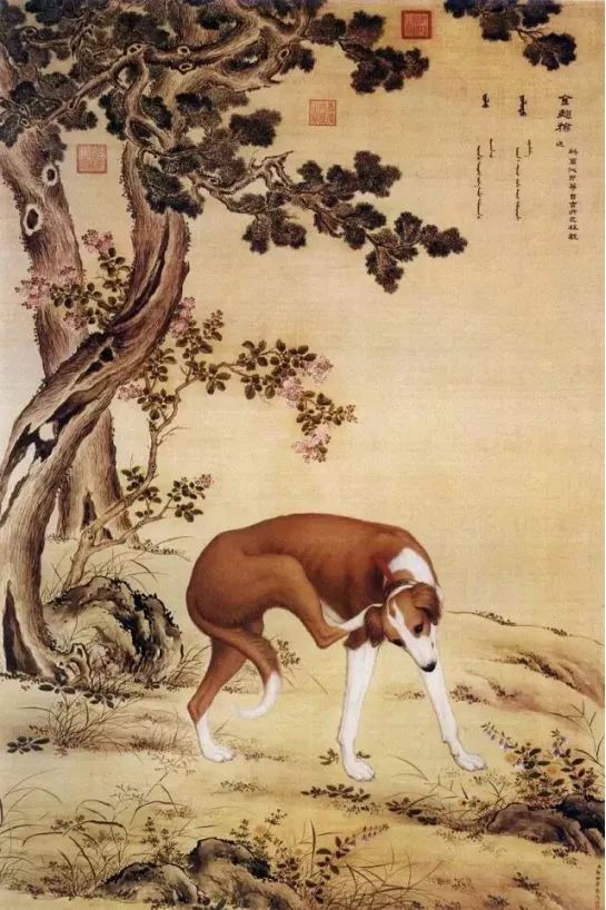 瑞狗迎春金狗纳福,瑞犬纳福2018年