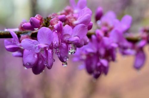 高考必背诗词重点句子,高考必考的诗句有哪些