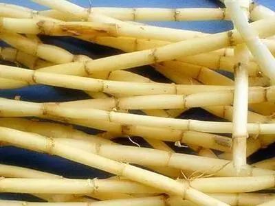 解醉酒良方,什么中药缓解醉酒效果最好