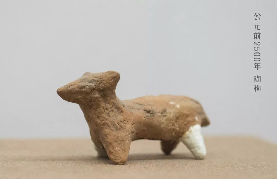 瑞狗迎春金狗纳福,瑞犬纳福2018年