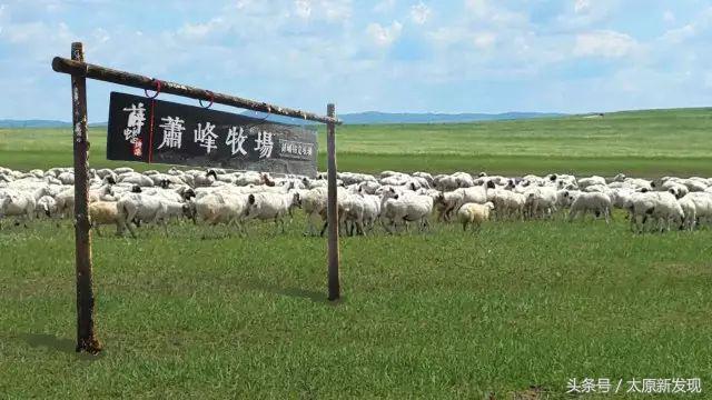 太原老字号烤串,太原好吃的烤串老店