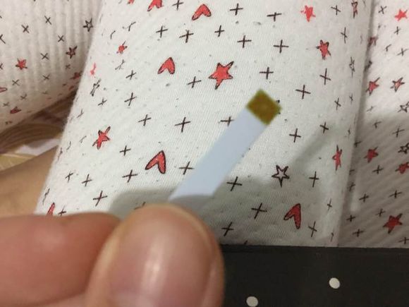 小仓鼠养了3个月后很凶,刚从宠物店带回来的仓鼠