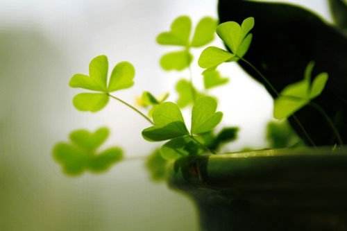 高考必背诗词重点句子,高考必考的诗句有哪些