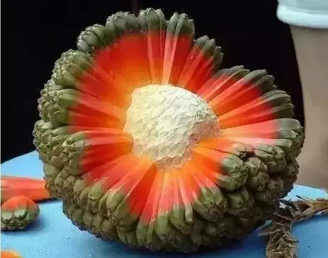 盘点一下那些少见而又奇葩的水果,千奇百怪的水果图片