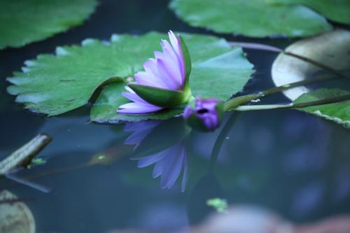 高考必背诗词重点句子,高考必考的诗句有哪些