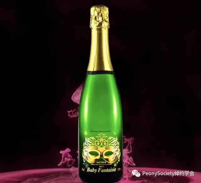 杯酒人生红酒品鉴,杯酒人生品味生活