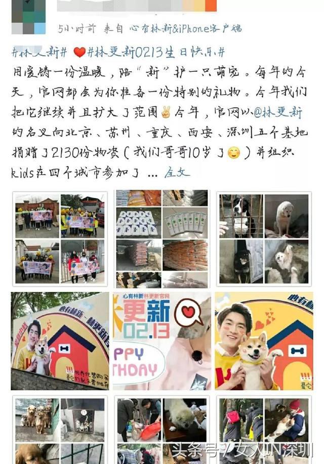 林更新生日满足粉丝心愿,林更新祝福赵丽颖生日