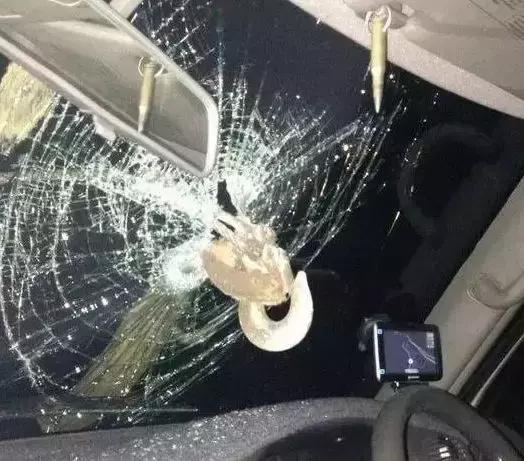 自驾床车选哈弗h9五座还是7座,开哈弗h9黑武士出去玩