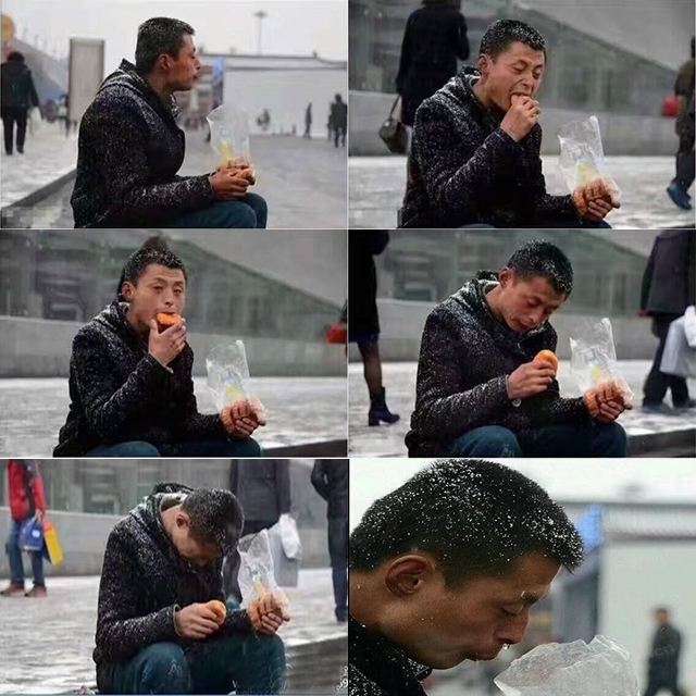 十二生肖之牛识字,生肖之谜之牛篇