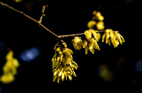 高考必背诗词重点句子,高考必考的诗句有哪些
