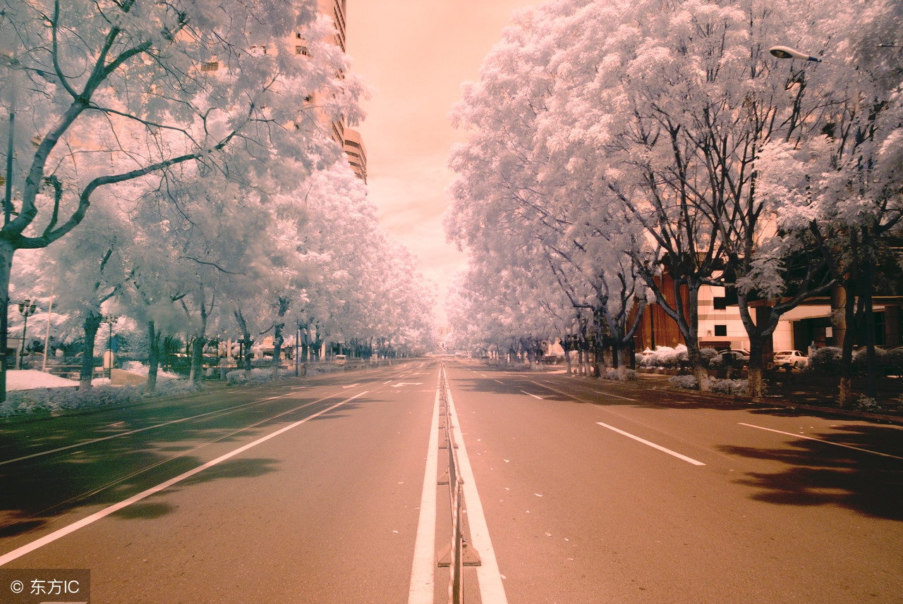 关于数码相机的基础知识,数码单反相机基础知识