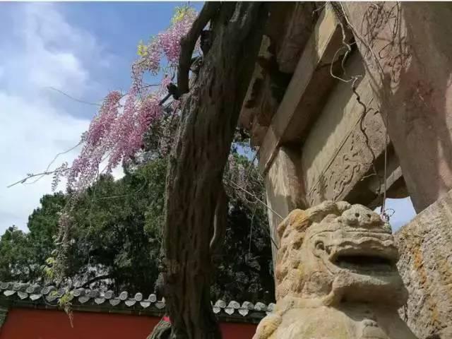 春晚四大分会场曝光，有个竟是“中国第一潜水地”！