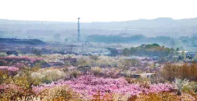 春晚四大分会场曝光，有个竟是“中国第一潜水地”！